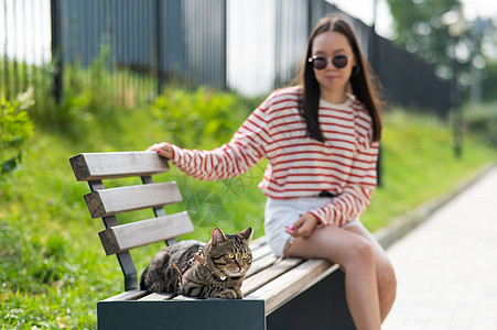 年轻女人和小猫坐在户外的长椅上哺乳动物皮带后院猫科胡须女士宠物流浪汉公园冒险图片