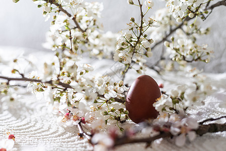 与春天开花的五颜六色的复活节彩蛋 彩蛋假日边框 复活节蛋糕假期边界卡片装饰风格横幅植物花朵节日桌子图片