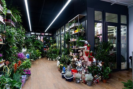 白俄罗斯明斯克 — 2021年12月20日 一家花卉商店的内部 前景是出售鲜花和盆栽天然植物以及圣诞和新年配饰图片