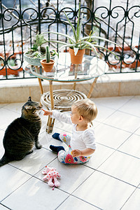 小孩坐在阳台上 靠近一张带花盆的桌子 用手指戳一只虎斑猫的鼻子图片