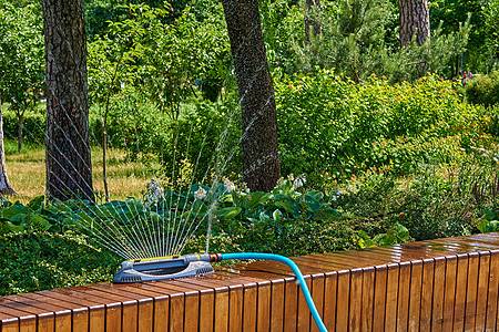 夏天的灌溉系统 喷水机 在城市公园热辣的花朵上浇洒鲜花图片