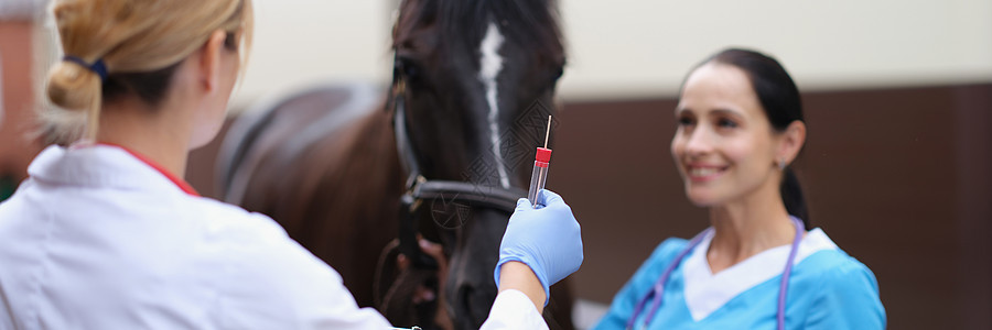 两名兽医正在检查马匹保有测试管 以进行生物分析诊所遗传学管子手臂治疗兴奋剂健康比赛科学文档图片