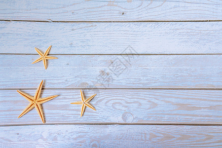 海星 夏季航海背景     木蓝底的恒星图片