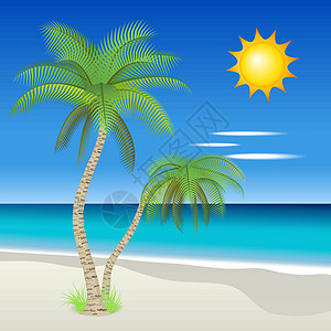 热带热带海滩插图蓝色椰子天堂太阳棕榈绿色情调海岸海洋图片