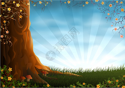 夏季草地插图叶子花朵衬套生活生态土地风景太阳木头图片