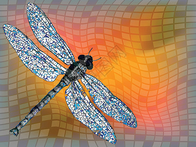 龙飞身体绘画蓝色翅膀蜻蜓宏观绿色工作室棕色插图图片