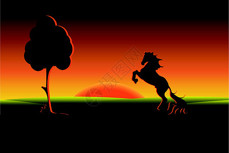 黑马插图鬃毛场地小马农场黑色动物自由蹄子蹄类图片