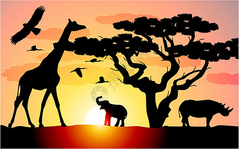非洲长颈鹿 犀牛和大象的病媒图片