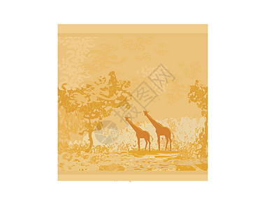 非洲动物和植物群的原始非洲背景太阳阳光旅游卡片天际沙漠衬套日落风景植物图片