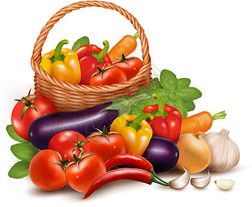 健康食品 病媒 在食物中 可使用一种新的蔬菜作为菜篮里新鲜蔬菜的背景材料图片