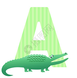 A 用于鳄鱼图解的字母A图片