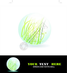 里面有草 矢量闪亮球 生态符号绘画小样蓝色植物透明度球体晴天凝胶插图太阳图片