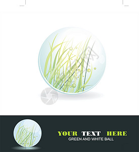 里面有草 矢量闪亮球 生态符号太阳灯泡美丽按钮瓢虫植物魔法墙纸商业珍珠图片