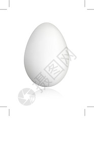 白蛋供设计图片
