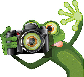 青蛙带相机图片