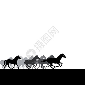马群鬃毛插图马术尾巴力量卡通片动物群跑步牛角饲养设计图片