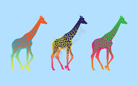 吉拉菲幽默插图创造力荒野粉色假期黑色标签尾巴动物群图片