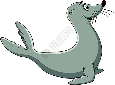 贴印漫画海滩平衡动物园海豹绘画水族馆哺乳动物毛皮宠物季节图片