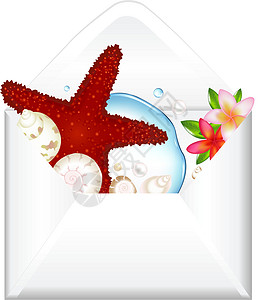 带海星和鲜花的开放信封图片