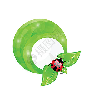 绿圆框架 含有叶元素和草虫 生态无害b图片