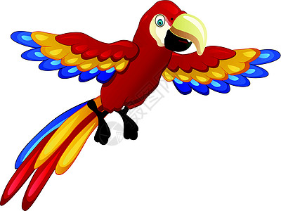 可爱的鹦鹉卡通宠物眼睛蓝色热带异国情调濒危生活雨林矢量图片