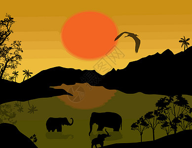 非洲风景大象风景美丽 大象设计图片