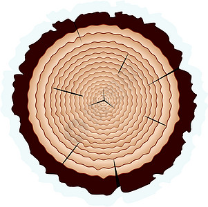 木制切割时间圆圈生活插图树干戒指材料裂缝日志木头图片