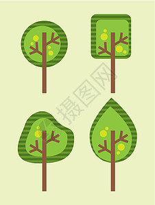 弧日 arbor 天叶子插图树干乔木庆典环境植物褐色橡木绿色图片