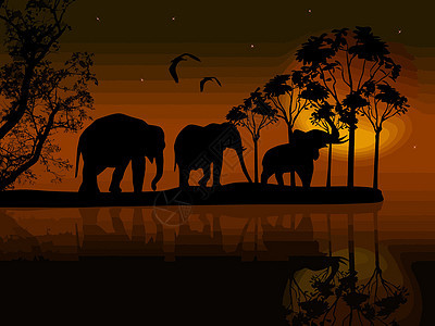 大象环绕着非洲水边的非洲图片