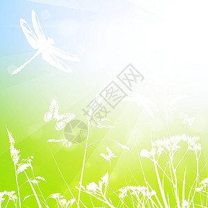 夏季草地生态太阳场地季节晴天阳光花园插图绿色蜻蜓图片