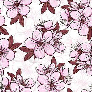 无缝模式 樱花花花瓣季节墙纸植物群樱花插图叶子花园植物公园图片