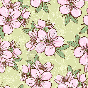 无缝模式 樱花花植物群插图墙纸花瓣公园艺术季节叶子植物樱花图片