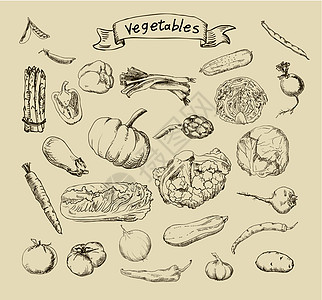 一套手涂蔬菜的矢量插图茄子菜花涂鸦艺术洋葱收藏土豆萝卜南瓜草图图片