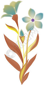 花异国植物学植物风格生长兰花花瓣花园鸡蛋花季节图片