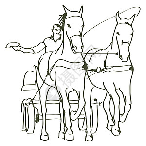 手牵马匹标识速度鬃毛哺乳动物自由马背农场派对荒野草图图片