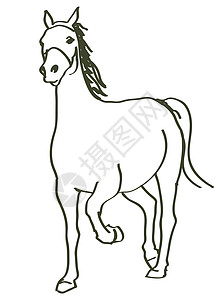 手拔马匹草图荒野朋友马背速度运动马术插图农场力量图片