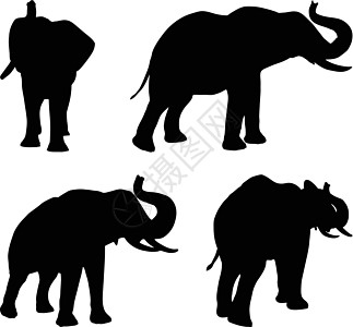 一套可编辑的非洲大象小号气笛矢量轮廓图片