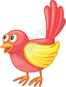 红鸟黄色卡通片雀科栖息羽毛动物尾巴生物动画白色图片