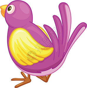 紫鸟动画飞行鸟类白色雀科动物尾巴羽毛生物香椿图片