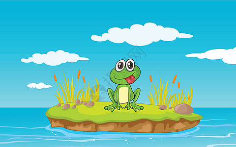 一只青蛙和一只水动物微笑两栖野生动物芦苇生物植物池塘天空昆虫图片