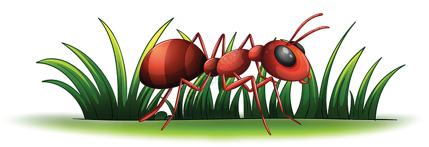 蚂蚁天线漏洞草地绿色植物工人绿色绘画荒野卡通片动物图片