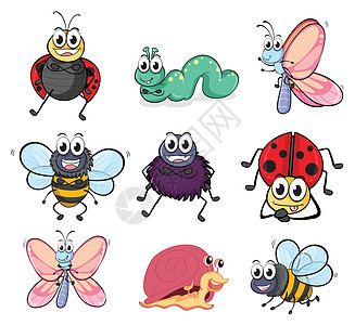各种昆虫和动物鼻涕虫瓢虫甲虫蜘蛛荒野毛虫蜂蜜蜗牛蝴蝶绘画图片