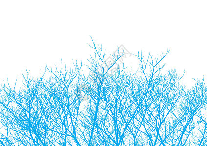 树顶矢量树枝果园过滤天空墙纸背景图片