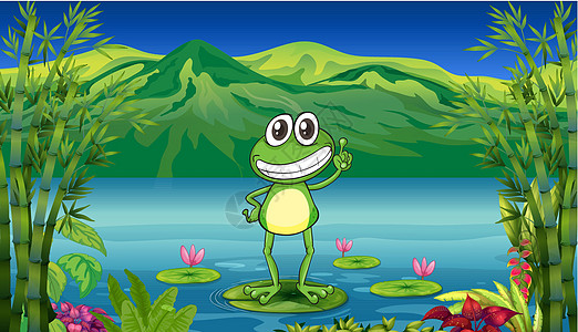 一只青蛙站在水百合上方图片