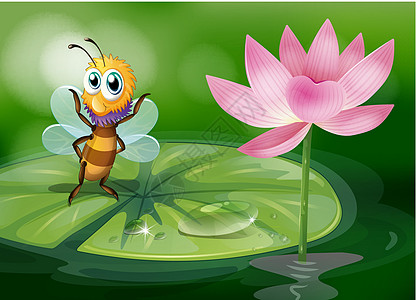 蜜蜂在水面上图片