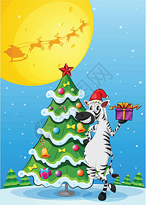 高高的圣诞树旁的斑马图片
