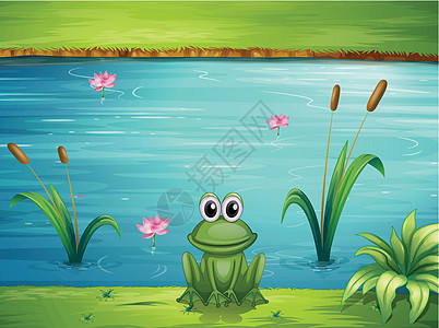 江河和青蛙图片