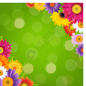 与绿博凯交界的多彩色Gerbers花朵美丽甘菊花瓣雏菊花园植物群拼贴画树叶婚礼织物图片