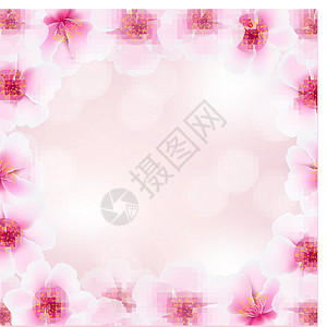 模糊背景的樱花花框架Name图片