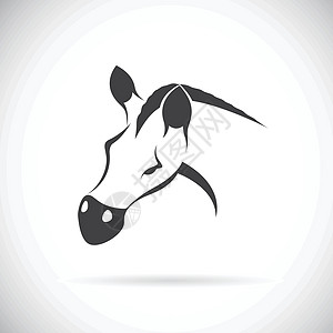 马头矢量图像插图马术马匹小马绘画哺乳动物黑色夹子动物荒野图片